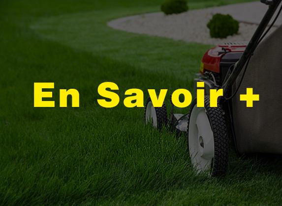 ENTRETIEN ESPACE VERT 28