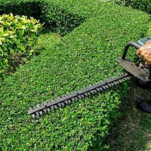 Entretien espace vert Parc & Jardin 28