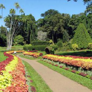 Entretien espace vert Parc & Jardin 28